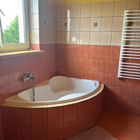 別荘 Dom Z Basenem I Sauna Ika